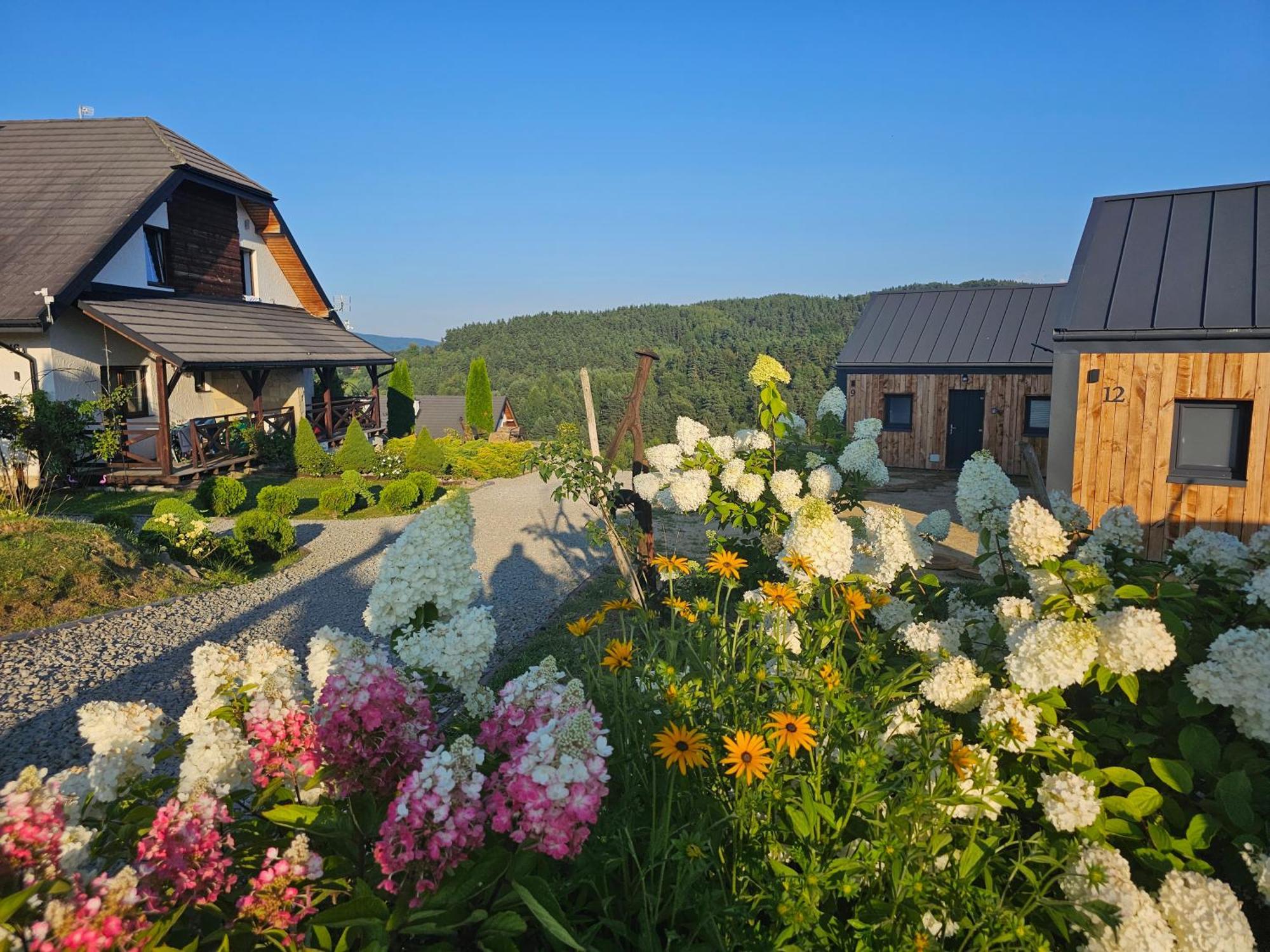 Chata W Bieszczadzie Apartamenty I Domki Z Sauna Bieszczady Polańczyk المظهر الخارجي الصورة