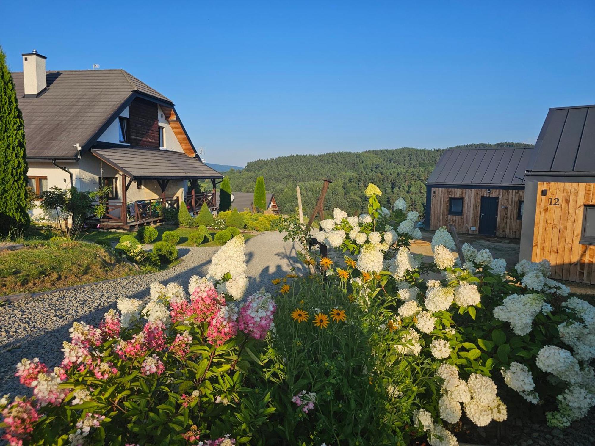 Chata W Bieszczadzie Apartamenty I Domki Z Sauna Bieszczady Polańczyk المظهر الخارجي الصورة